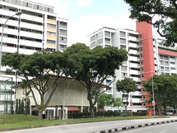 Blk 177 Bukit Batok West Avenue 8 (Bukit Batok), HDB 4 Rooms #172128672